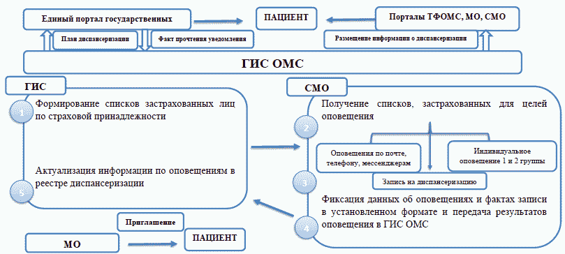 Схема диспансеризации животных