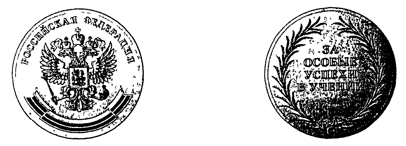 Ходатайство на медаль за особые успехи в учении образец