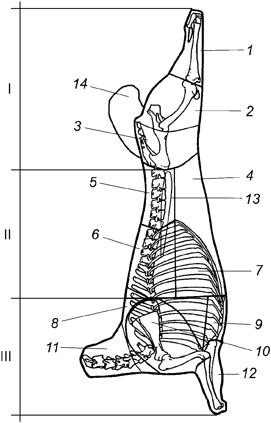 Схема разделки баранины и козлятины. Схема туши баранины и отруба. Схема разруба козлятина туши. Части туши барана схема.