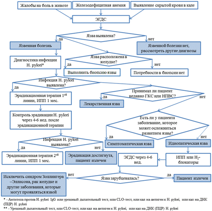 Лечение язвы желудка и двенадцатиперстной кишки схема лечения