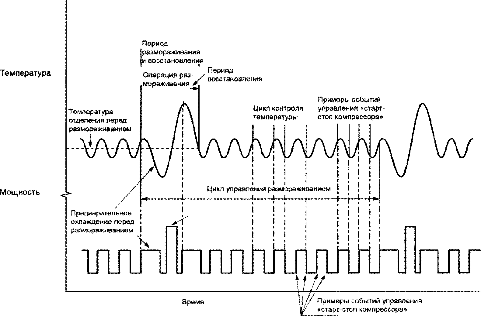 Рабочий период восстановления. Чем обосновывается цикличность температуры.