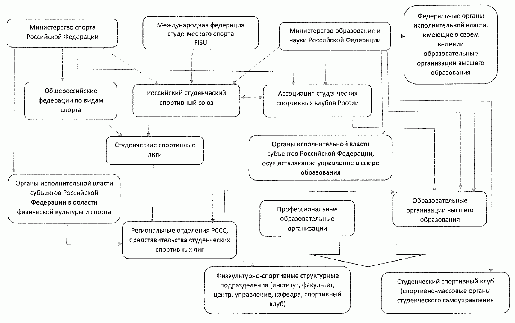 Структура министерства спорта рф схема