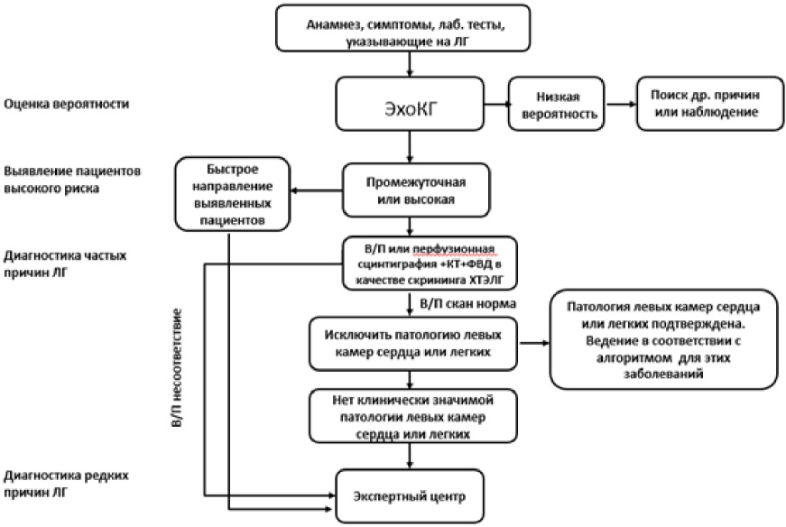 Схема клинического исследования больного