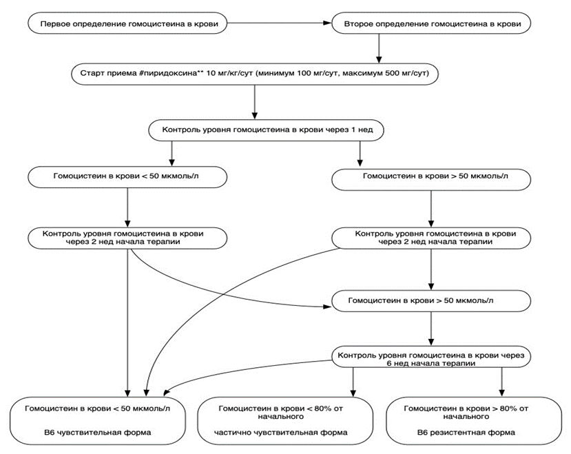 Вгл 4 спорт алгоритм определения