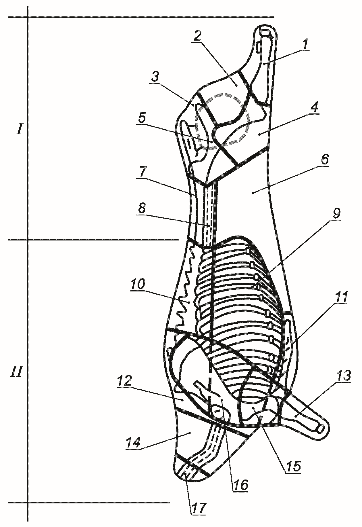 Схема разделки телятины
