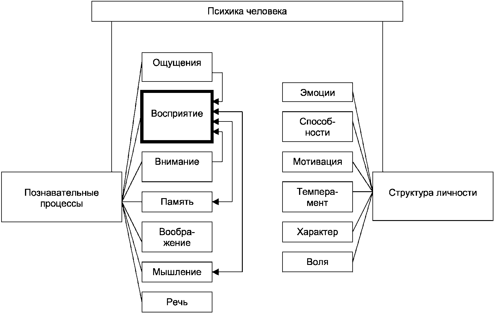 Система информации человек