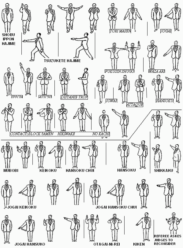 Жесты судьи в дзюдо в картинках с описанием