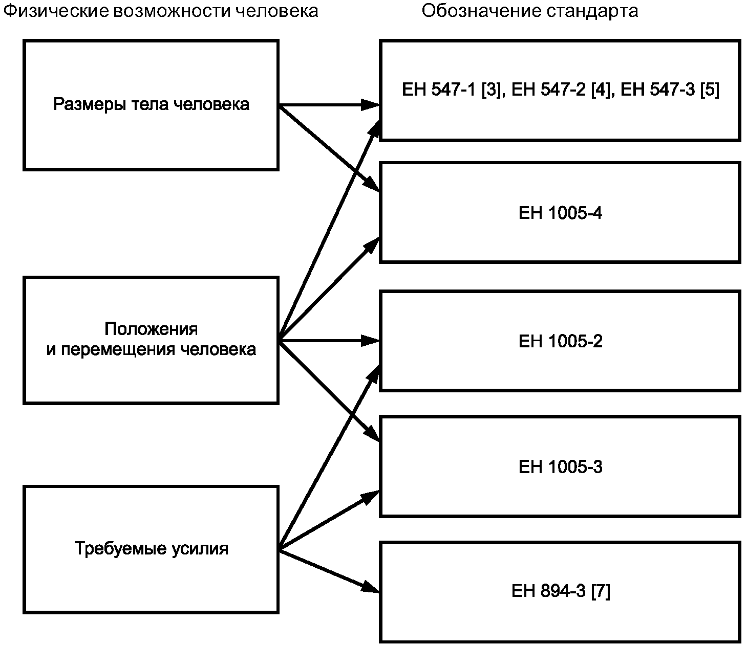 Положение 1005. Физические возможности. Схема физического стандарта сервиса.