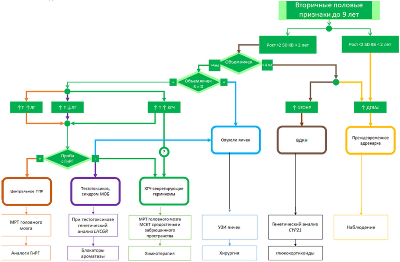 Вторичные половы признаки. Алгоритм диагностики ППР У девочек. Проба с гонадотропин рилизинг гормоном. Проба с гонадотропином для диагностики ППР. Вторичные продукты пол.