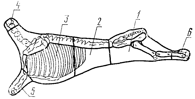 Разруб баранины схема