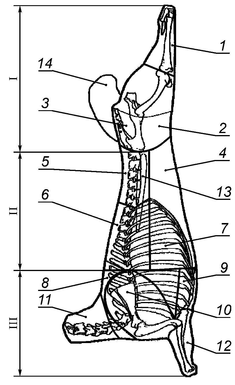 Схема разделки баранины на отрубы
