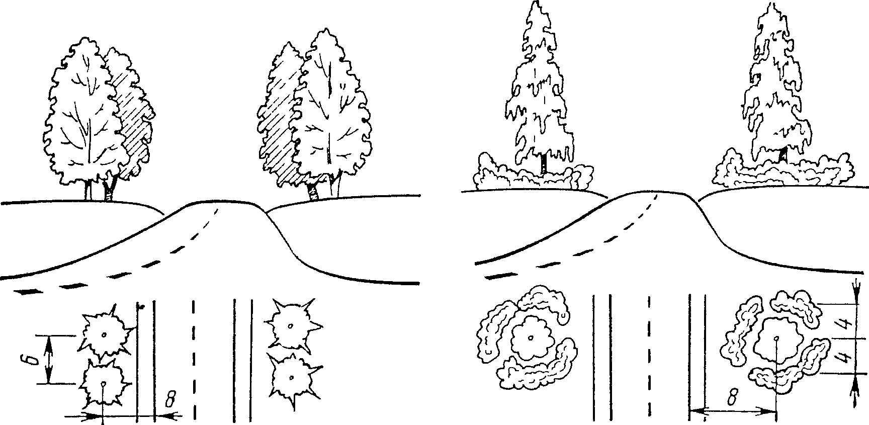 Закрытая местность это 2 класс. Изотермия хлора. Old_growth_birch_forest. Закрытая местность фото. Без горизонта.