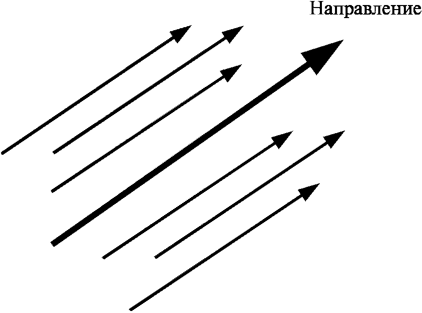 9 направлений