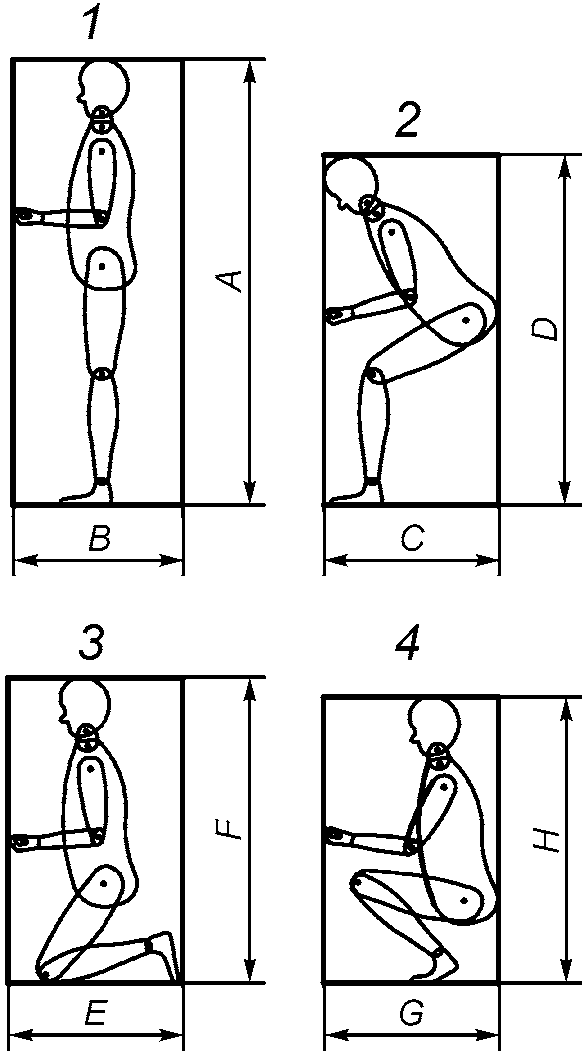 Эргономические схемы музея