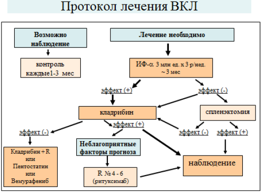 Протокол лечения лейкоза. Протоколы лечения лейкоза. Волосатоклеточного лейкоза. Лечение волосатоклеточного лейкоза. Волосатоклеточный лейкоз анализ крови.