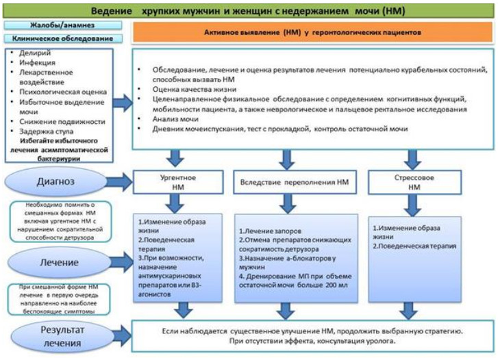 Клинические рекомендации МЗ РФ. Клинические рекомендации МЗ РФ 2021. Алгоритм ведения пациентов с недержанием мочи. Стрессовое недержание мочи мкб 10 у женщин.