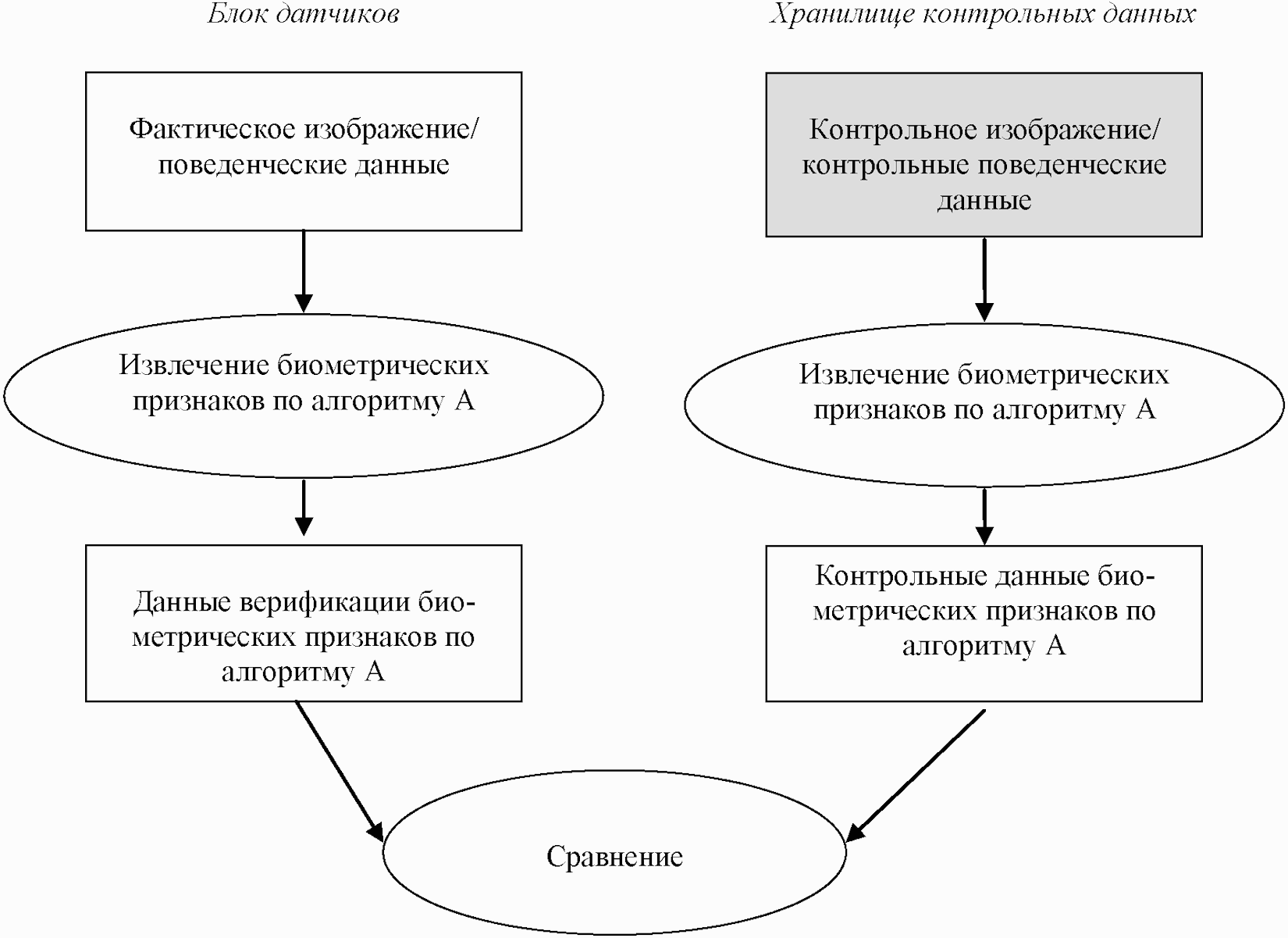 Источники фактической информации. Источники контрольных данных. Фактическое изображение. ГОСТ ISO/IEC.