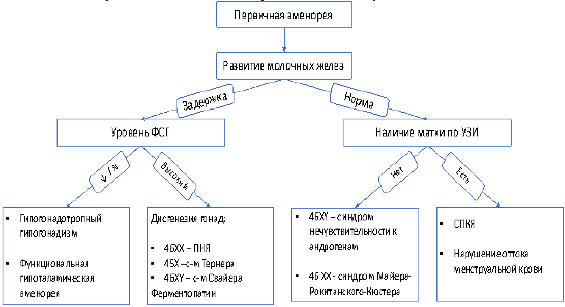 Аменорея план обследования