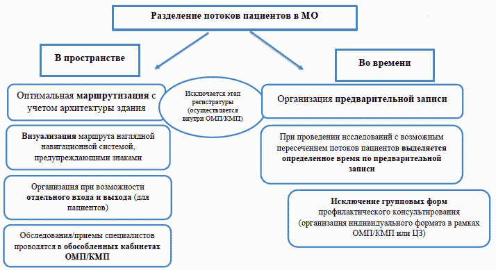 Схема диспансеризации животных
