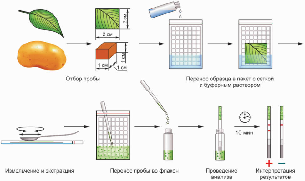Виды отбора проб и образцов. Отбор проб и образцов. Фитопатогенов. Схема определения КМАФАНМ В продуктах.