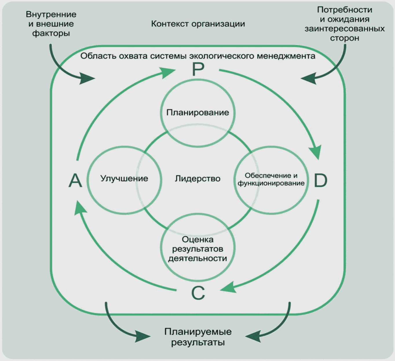 Организация экологического менеджмента. Механизм экологического менеджмента. Экологический менеджмент на предприятии. Организационная структура системы экологического менеджмента. Схема модель системы экологического менеджмента.