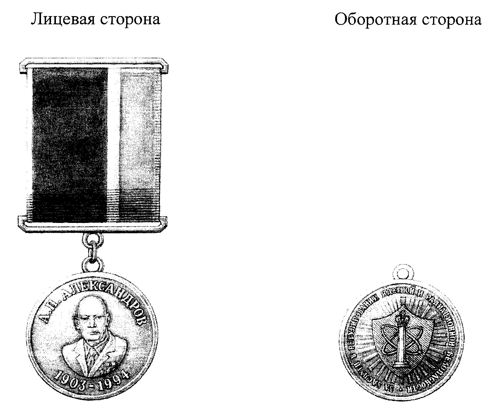 Положение о медали. Медаль Якова Брюса. Положение о памятной медали. Медали Ростехнадзора ведомственные. Медаль Якова Брюса ростехнадзор.