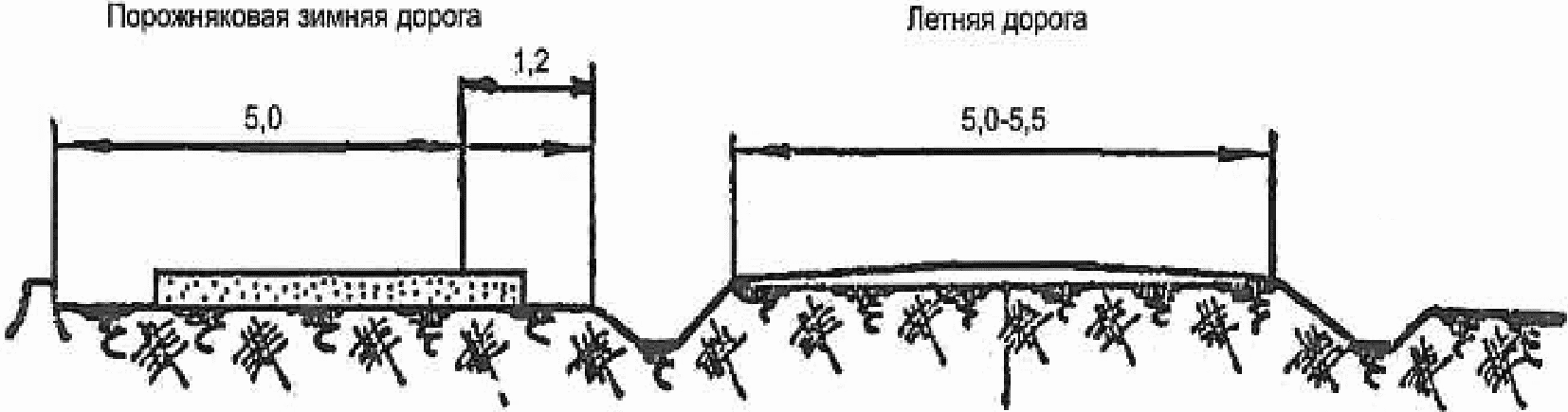 План трассы лесовозной дороги