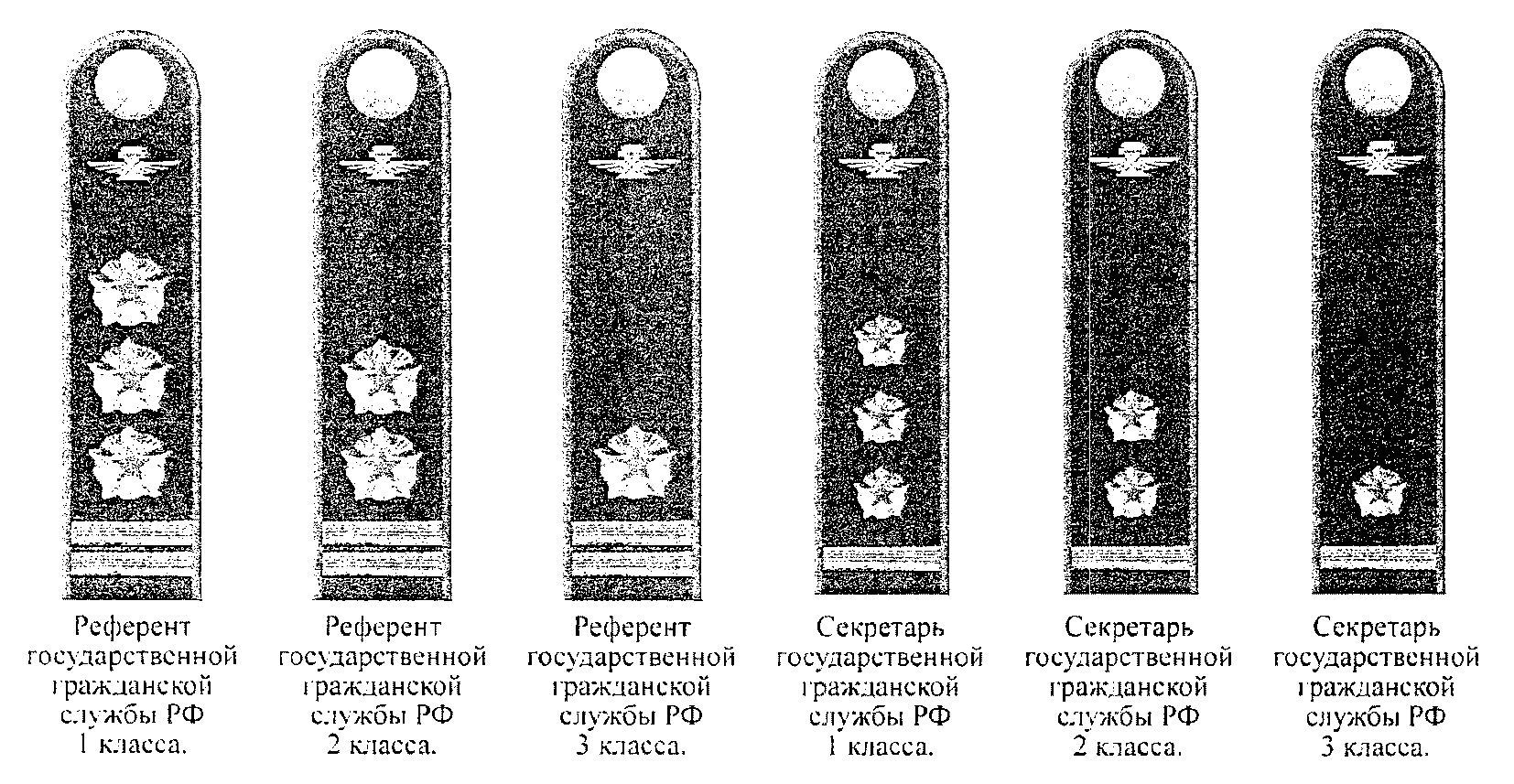 Помощники государственной службы. Чин референт государственной гражданской службы 3 класса. Референт 2 класса погоны Ространснадзора. Референт ГГС 3. Референт 3 класса погоны Роспотребнадзор.