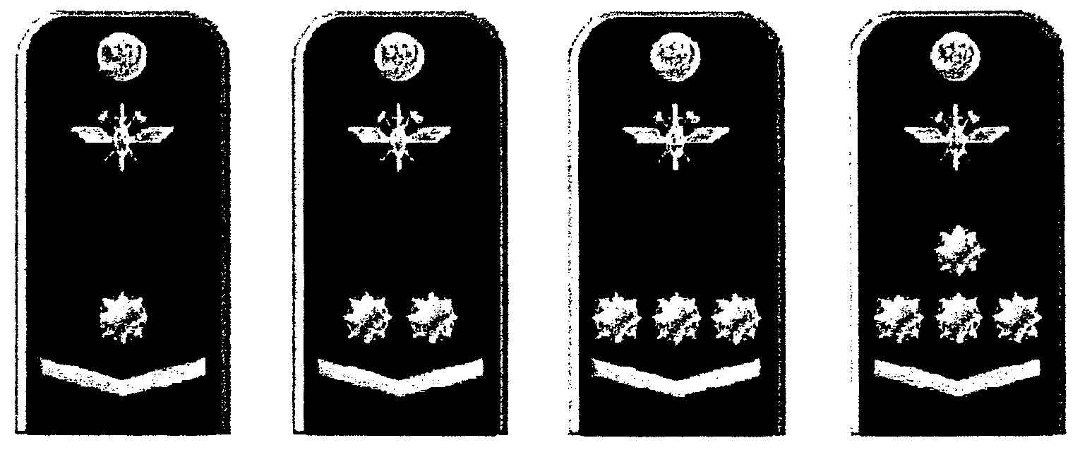 Погоны спецсвязи