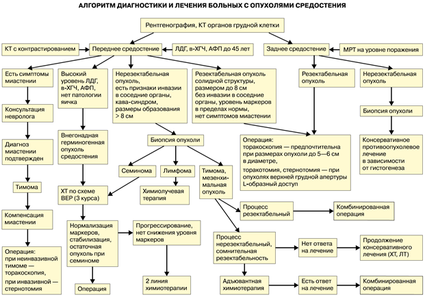 Доброкачественные опухоли блок схема