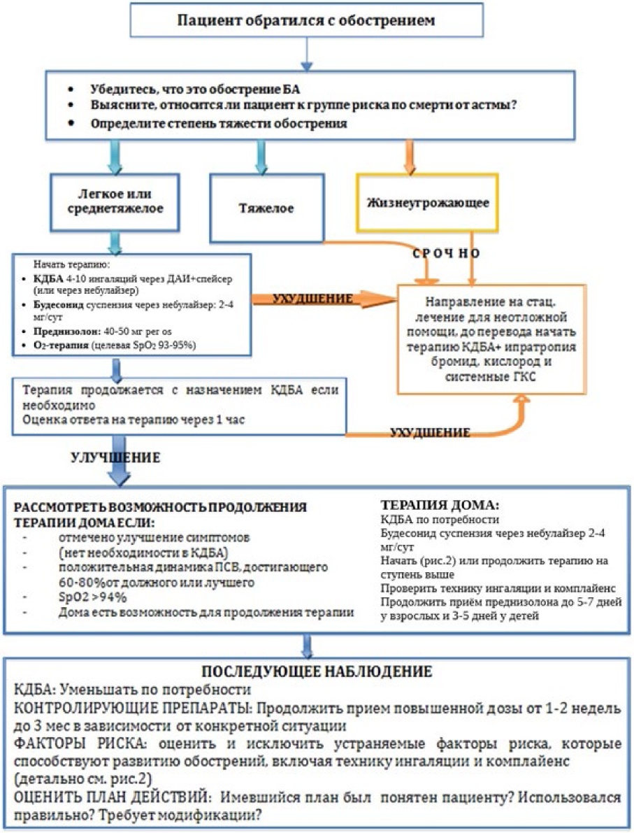 Алгоритм ведения пациентов с бронхиальной астмой