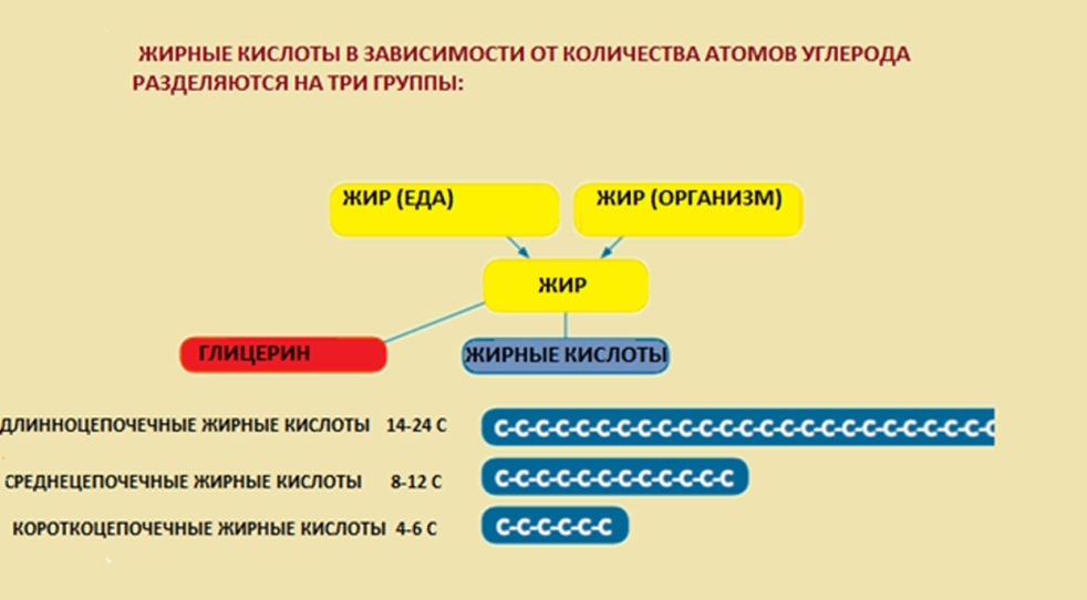 Нарушение бета окисления жирных кислот клинические рекомендации. Классификация жирных кислот. Митохондриальное окисление. Ненасыщенные жирные кислоты грудного молока. Окисление ненасыщенных жирных кислот.