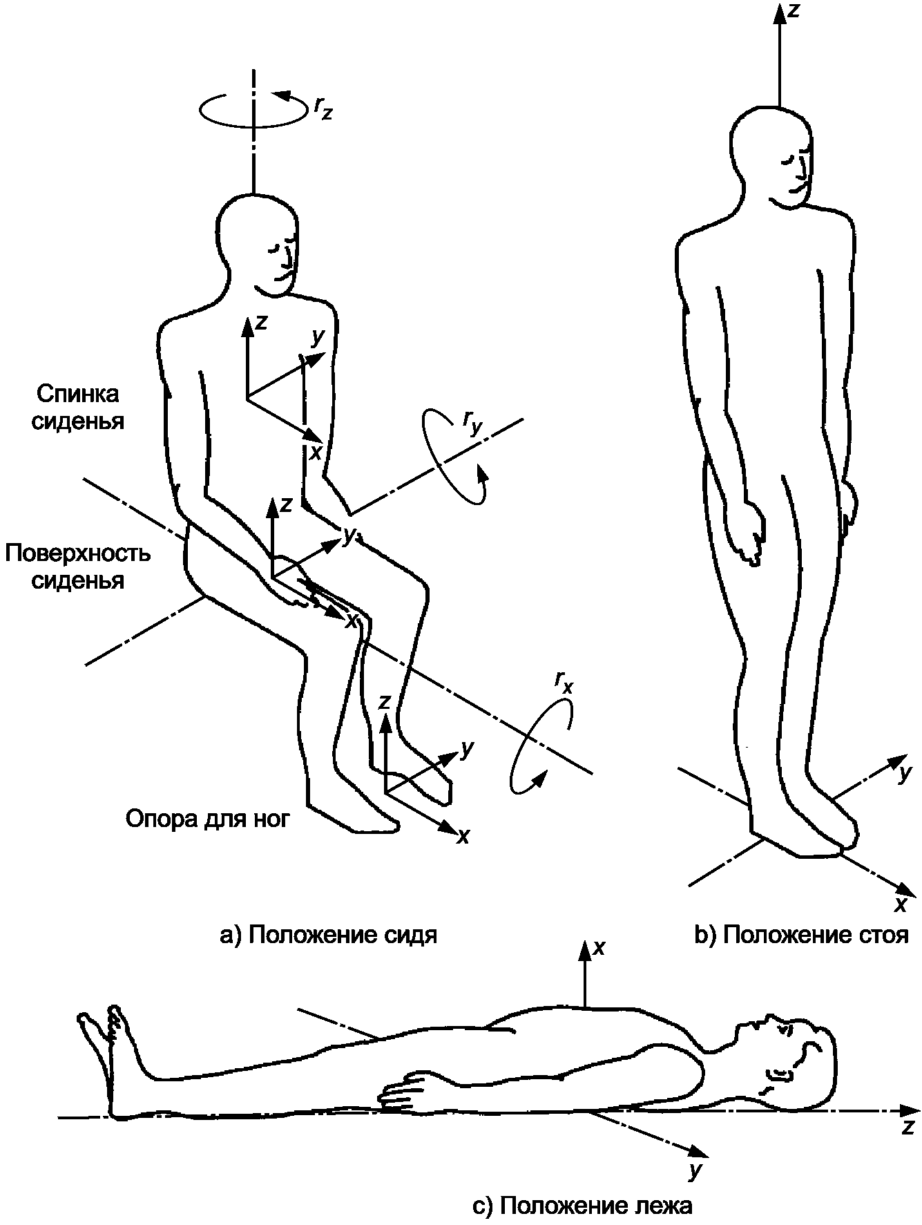 В лежачем положении. Положение тела человека. Положение сидя. Положение тела стоящего. Человек в лежачем положении.