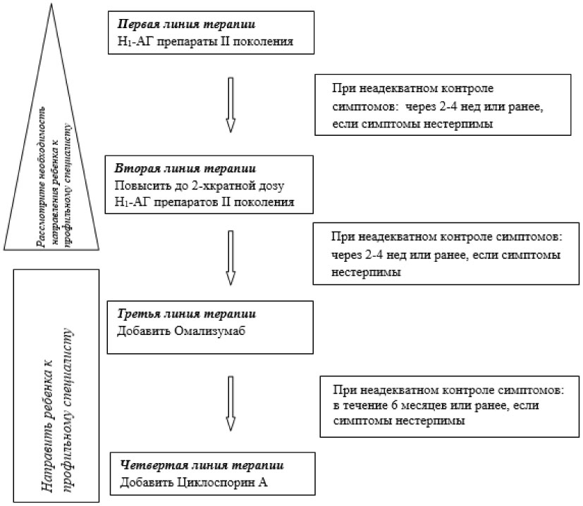 Схема лечения при крапивнице у взрослых