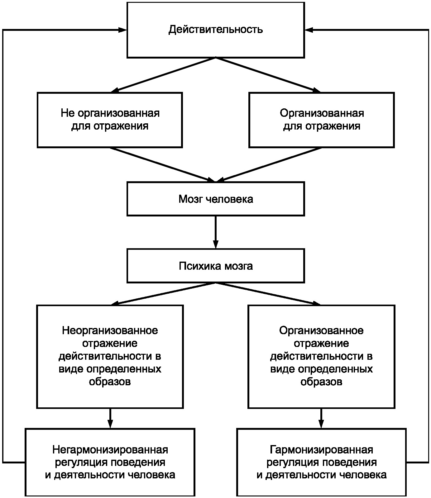 Познание адекватно отражает реальность