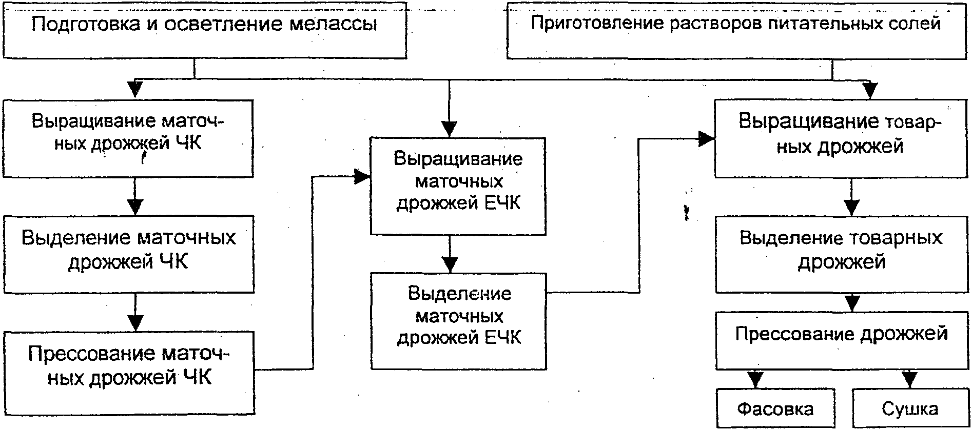 Схема получения кормовых дрожжей