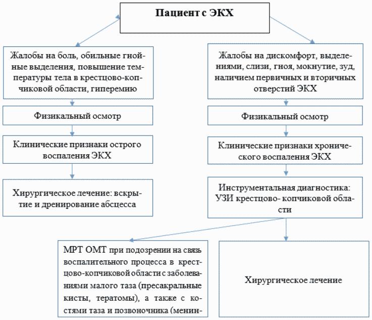 Приказ минтруда 1024н