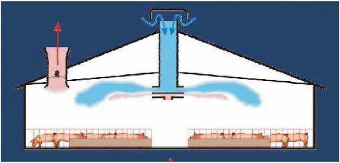 Вентиляция в свинарнике. Приточно-вытяжная вентиляция в свинарнике. Приточно-вытяжная система вентиляции в свинарниках. Система вентиляции свинарников. Правильная вентиляция в свинарнике.